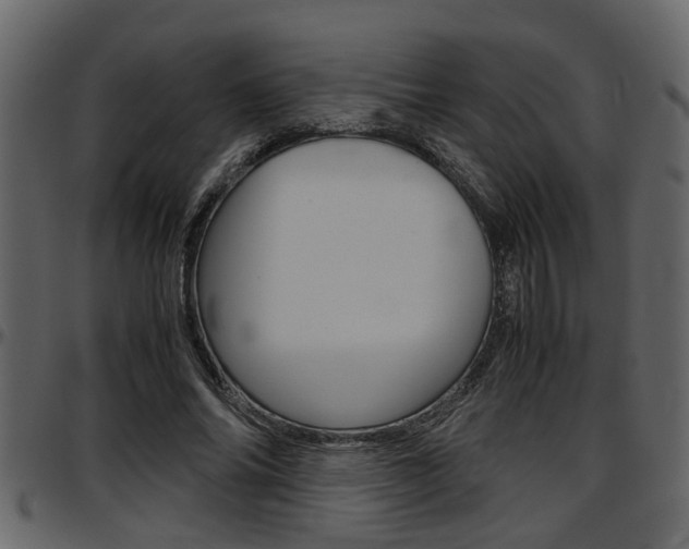 X0000097600686200802290732