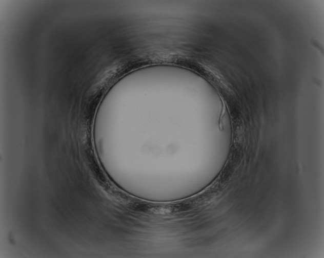 X0000097600687200802290732
