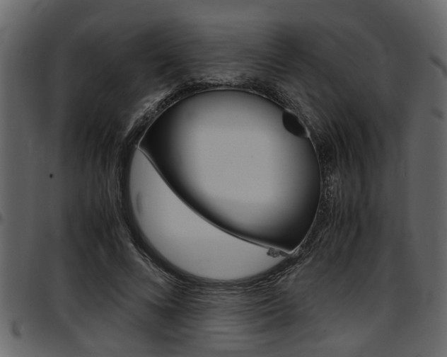X0000097600688200802290732