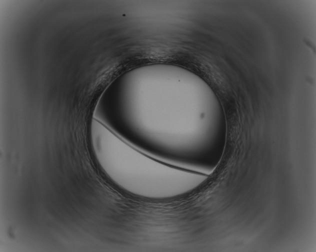 X0000097600689200802290732
