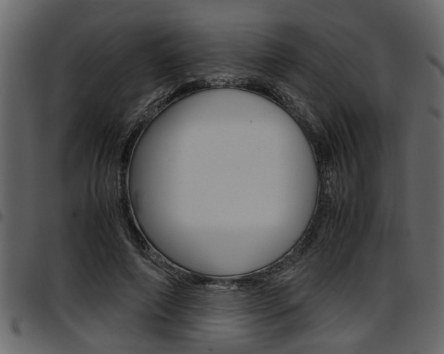 X0000097600690200802290732