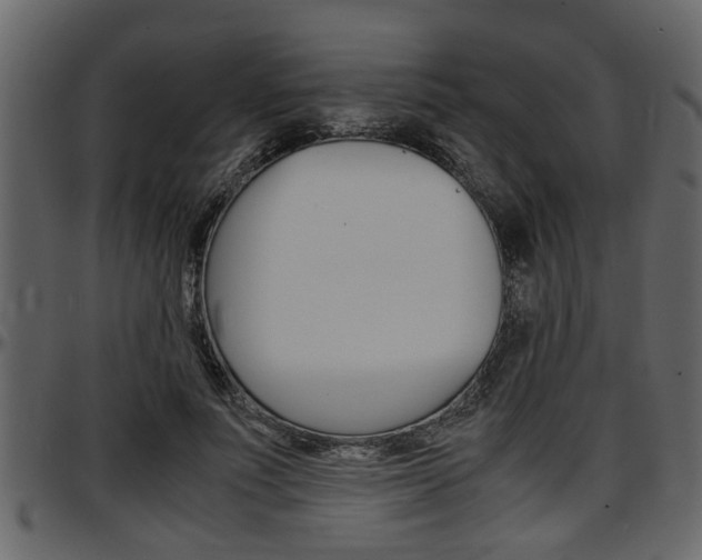 X0000097600691200802290732