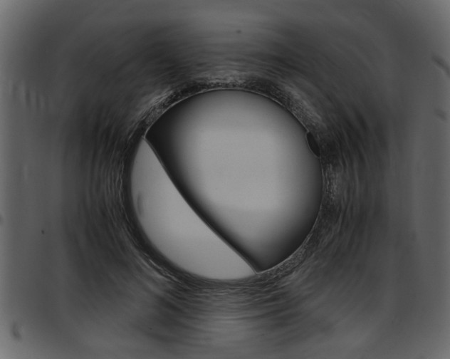 X0000097600692200802290732