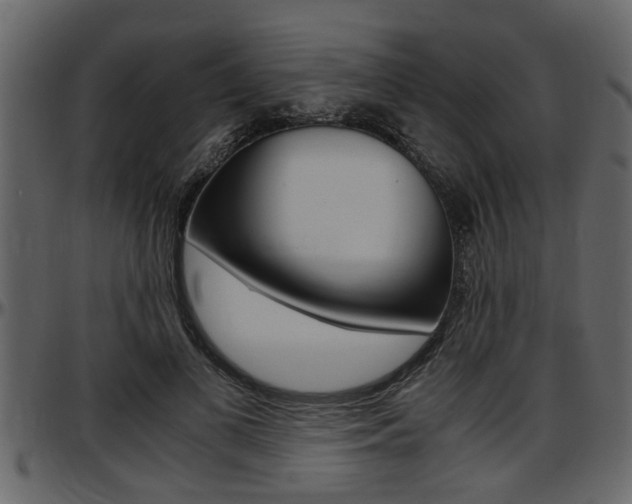 X0000097600693200802290732
