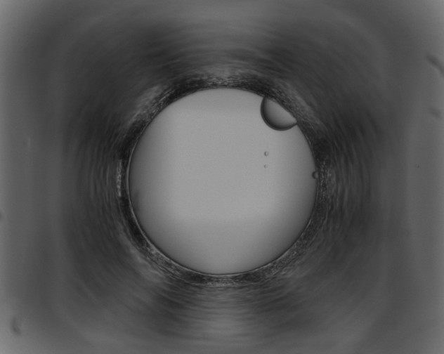 X0000097600694200802290732