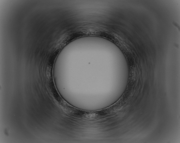 X0000097600695200802290732
