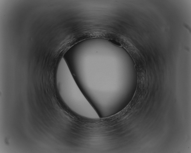 X0000097600696200802290732