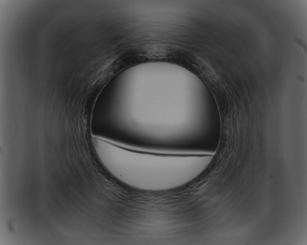 X0000097600697200802290732
