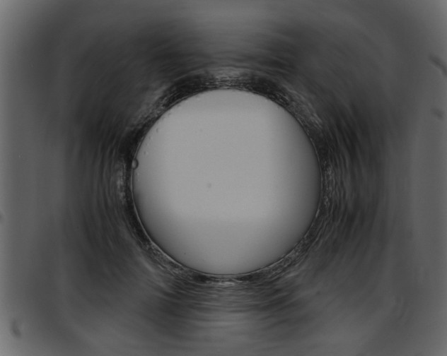 X0000097600698200802290732