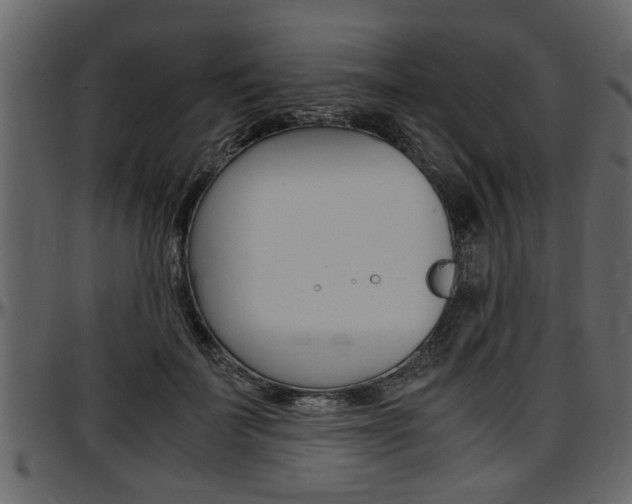 X0000097600699200802290732
