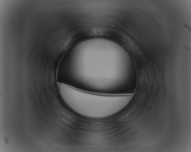 X0000097600700200802290732