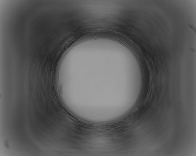 X0000097600701200802290732