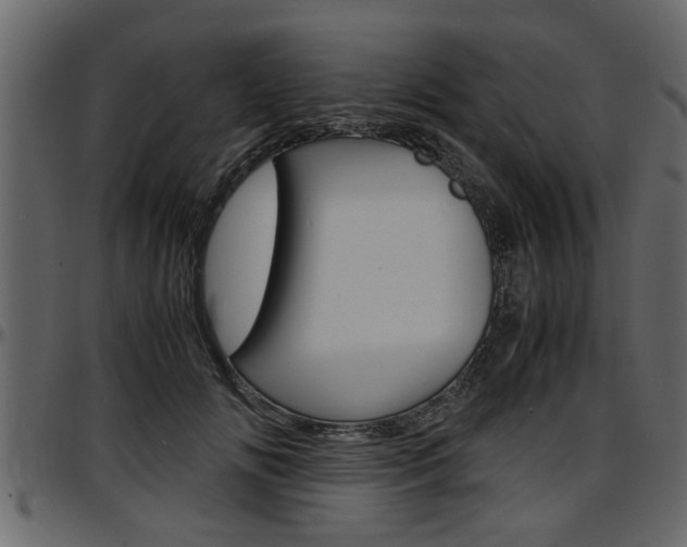 X0000097600702200802290732