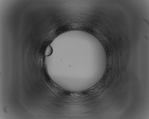 X0000097600703200802290732