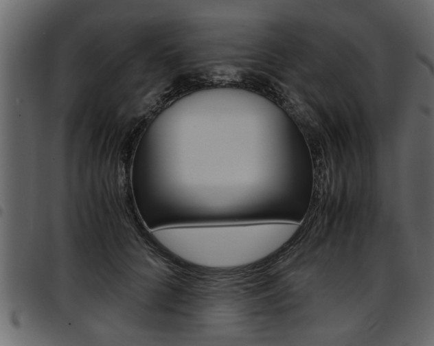 X0000097600704200802290732