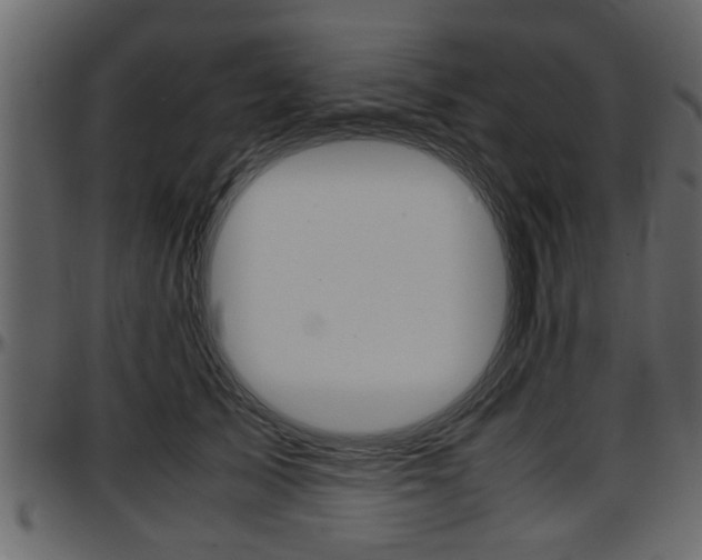 X0000097600705200802290732