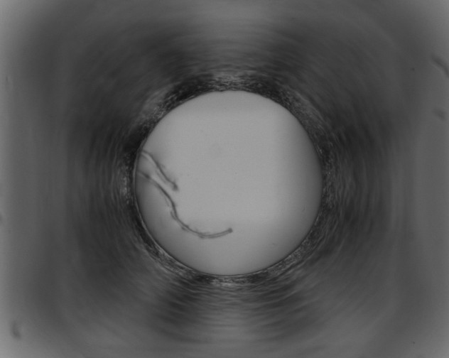 X0000097600706200802290732