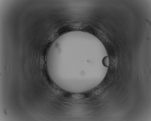 X0000097600707200802290732