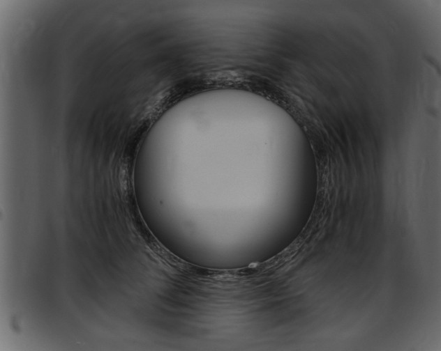 X0000097600708200802290732