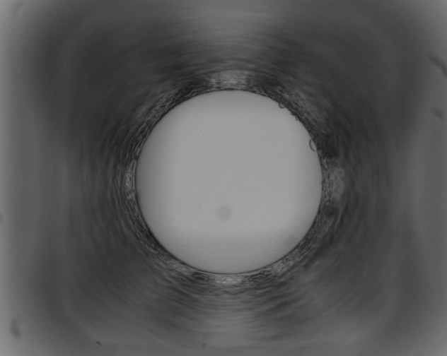 X0000097600709200802290732