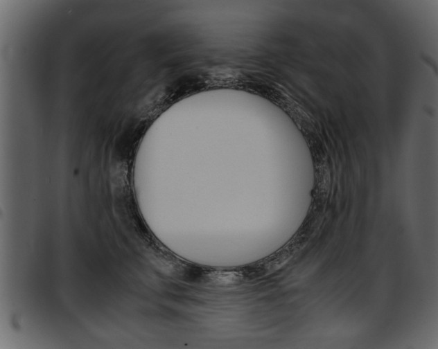 X0000097600711200802290732