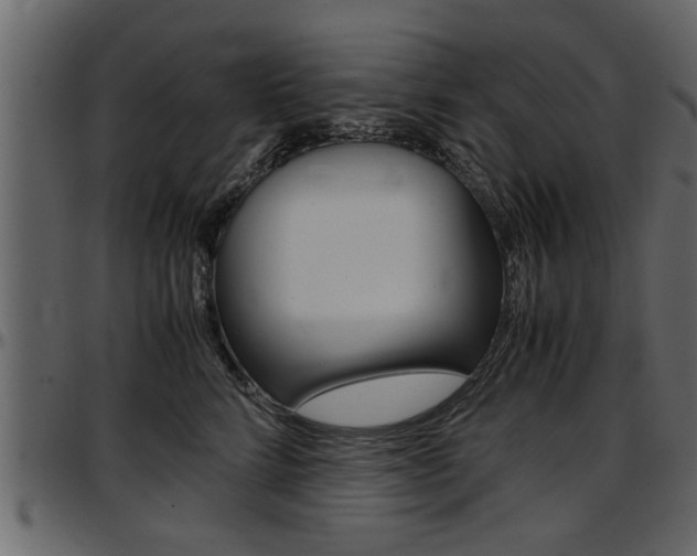 X0000097600712200802290732