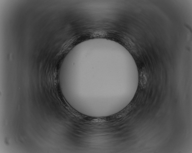 X0000097600714200802290732