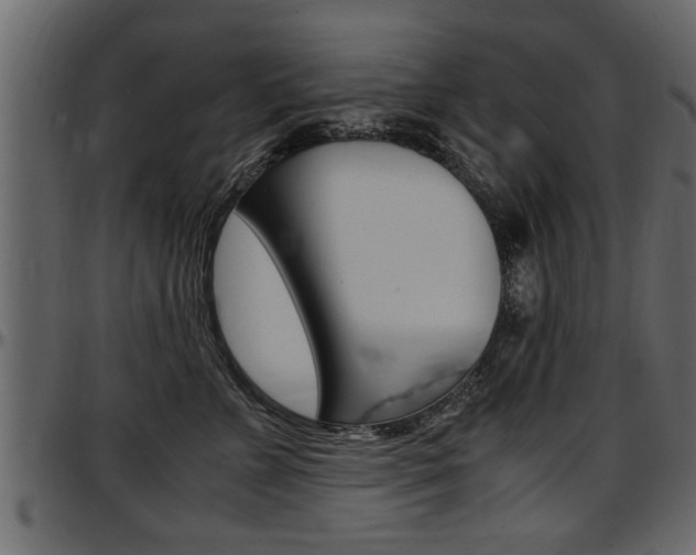 X0000097600715200802290732