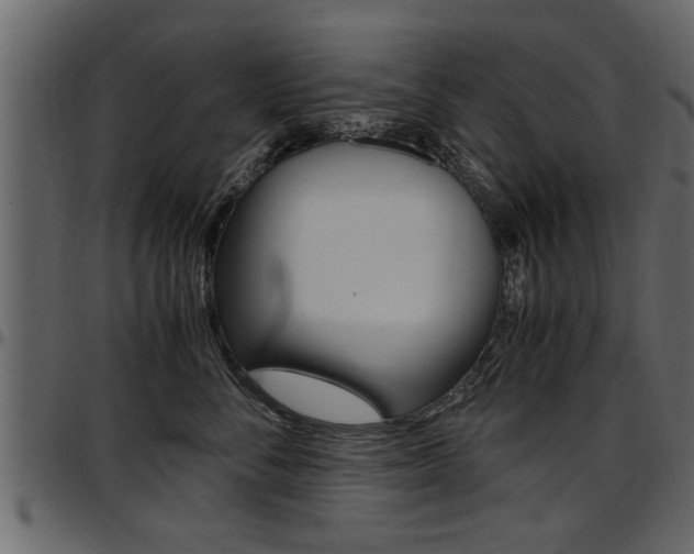 X0000097600716200802290732