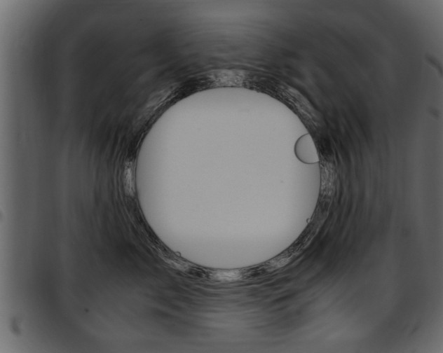 X0000097600717200802290732