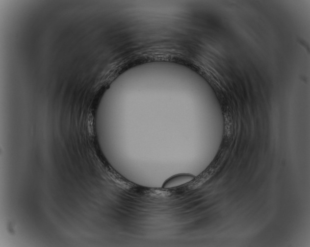 X0000097600718200802290732