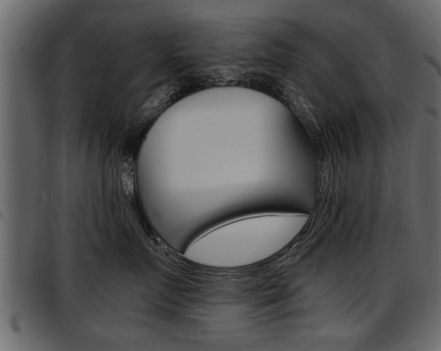 X0000097600719200802290732