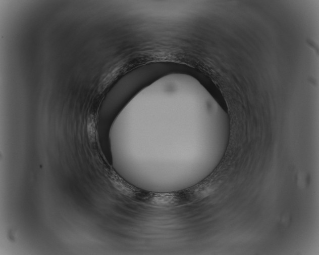 X0000097600720200802290732