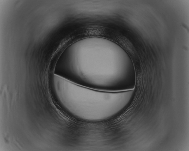 X0000097600722200802290731