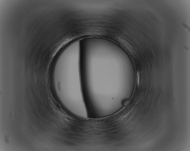 X0000097600723200802290731