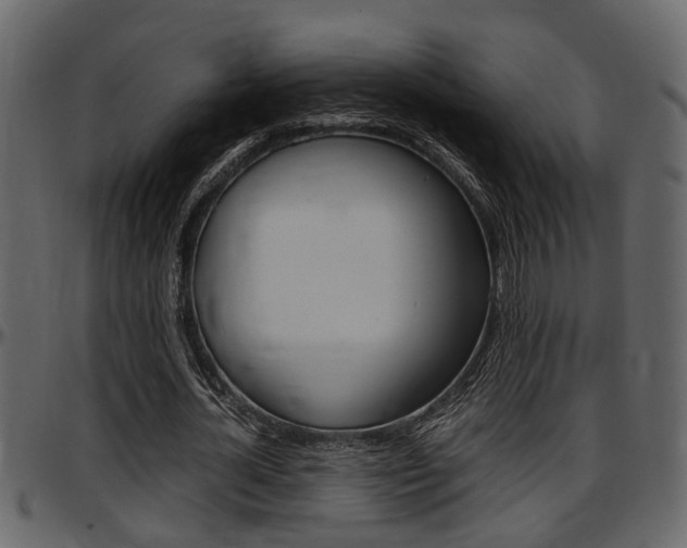 X0000097600724200802290731