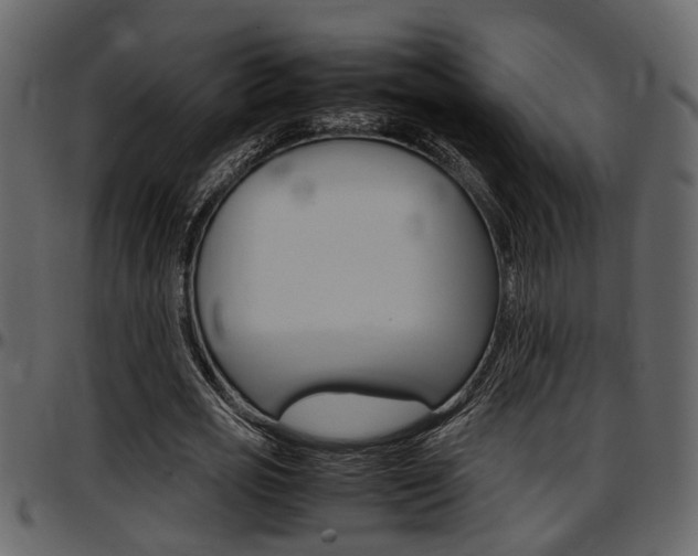 X0000097600725200802290731