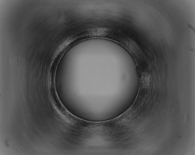 X0000097600726200802290731
