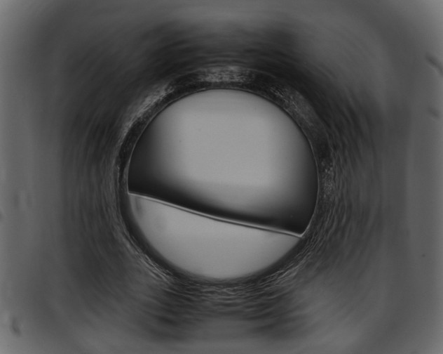 X0000097600727200802290731