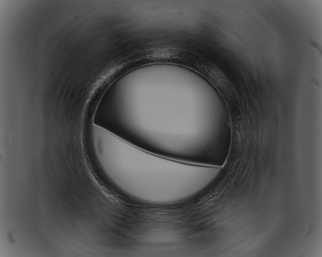 X0000097600728200802290731