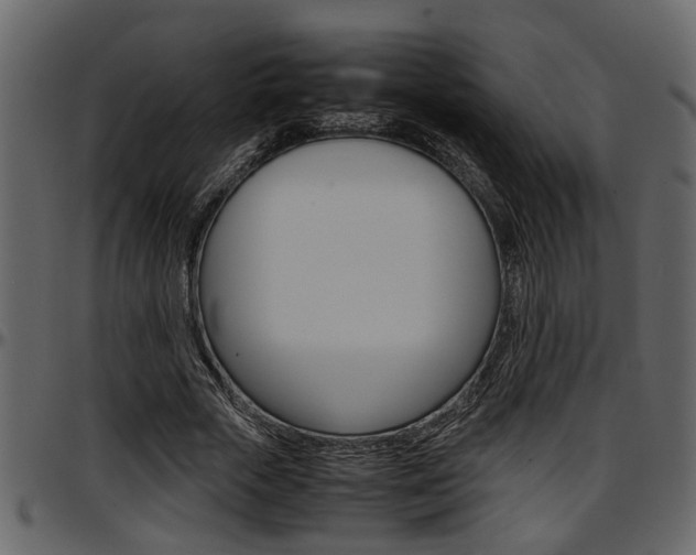 X0000097600729200802290731