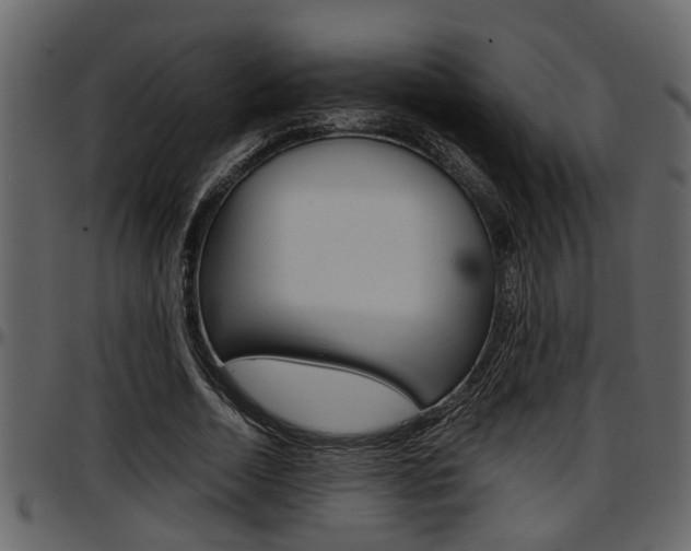 X0000097600730200802290731