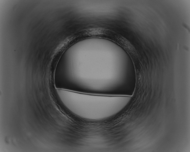 X0000097600732200802290731