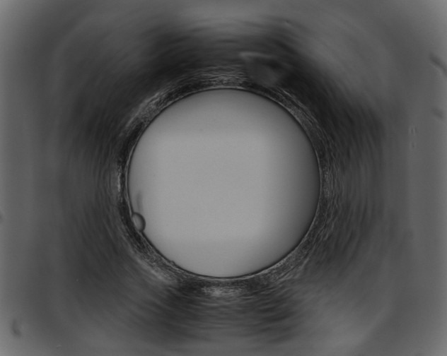 X0000097600733200802290731