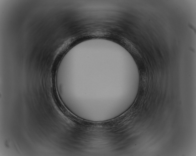 X0000097600734200802290731
