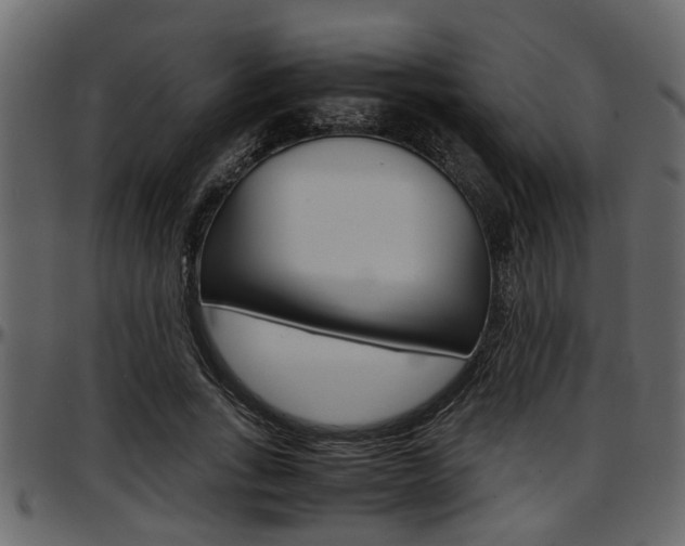 X0000097600735200802290731