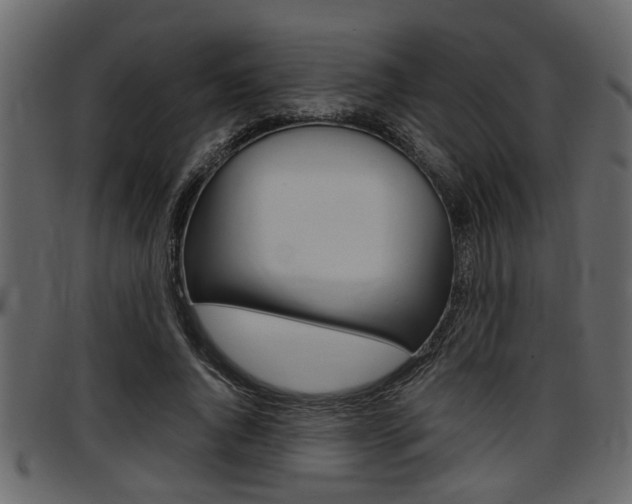 X0000097600736200802290731