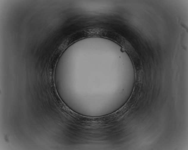 X0000097600737200802290731
