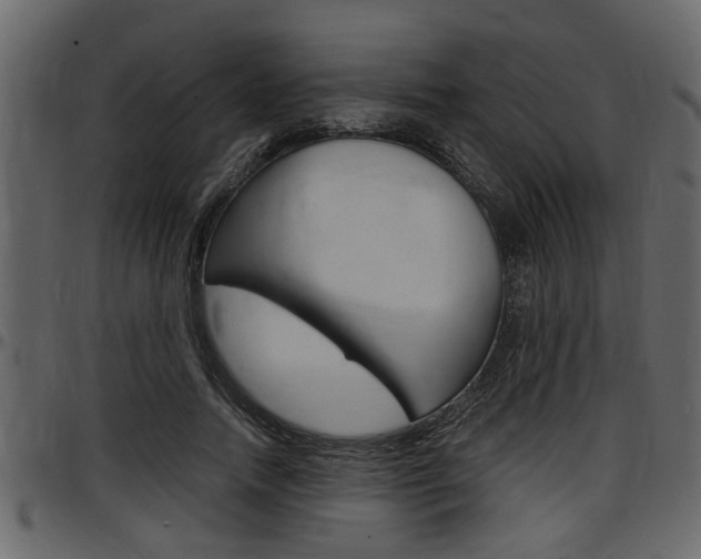 X0000097600738200802290731