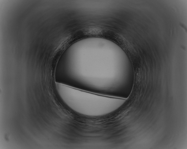 X0000097600739200802290731